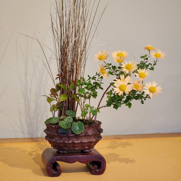 Meet your Posher, Beth - Picture 1 of 1